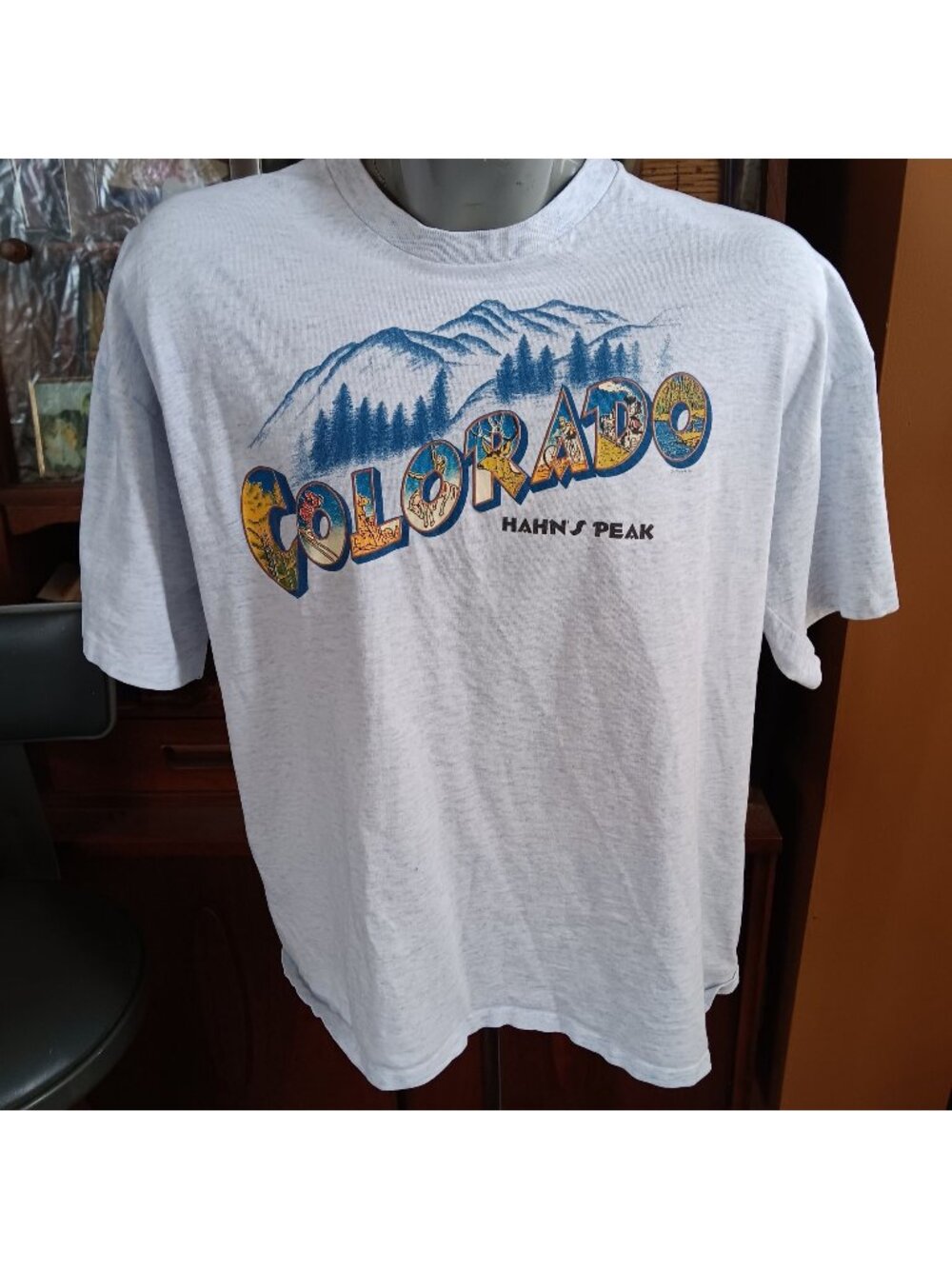 Vintage Men's XL T-shirt Colorado Hahns Peak Mountain Cal Cru 1990's USA Heather